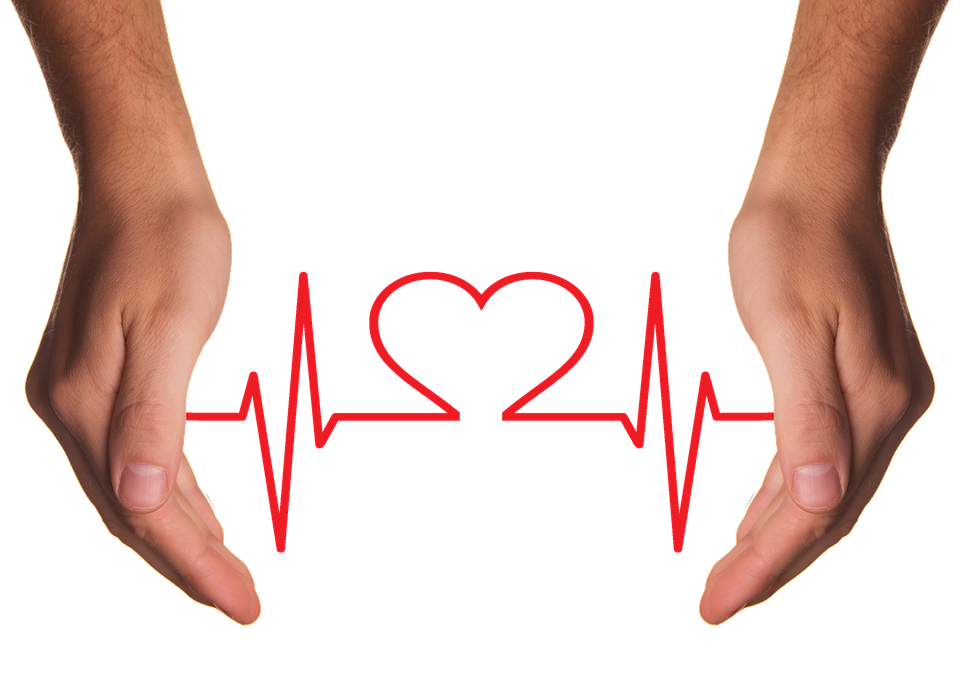 The best companies providing EHR systems in 2020
